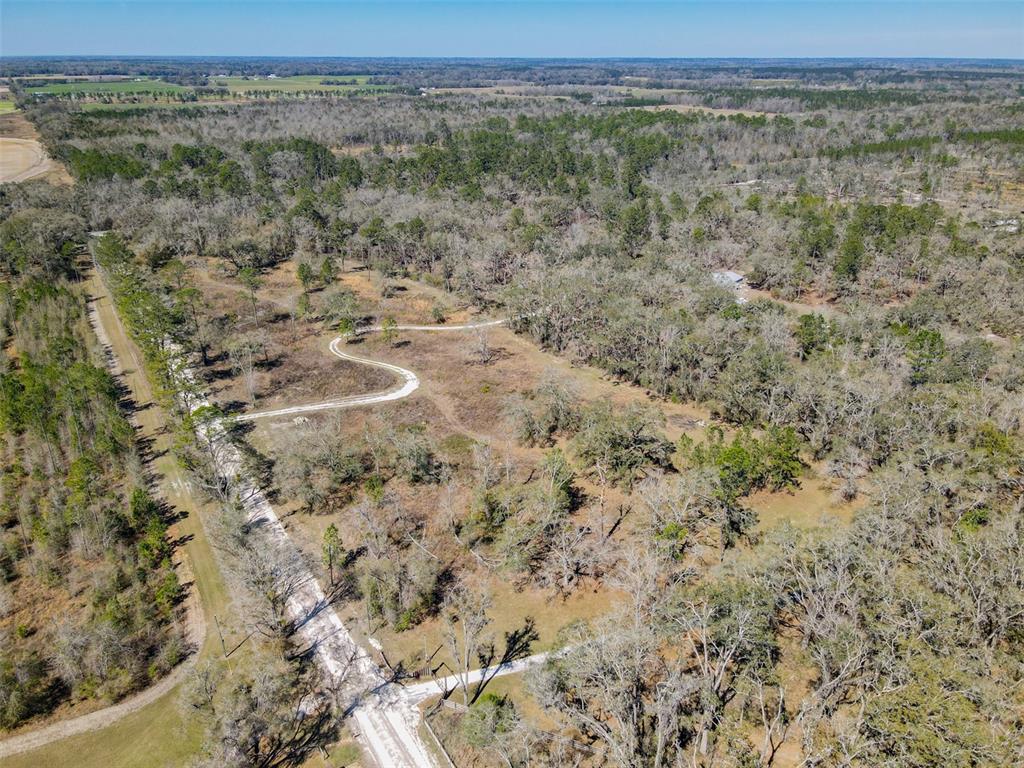 3949 184th Street Wellborn, FL 32094 - Photo 27 of 35 a view of a dry yard with trees
