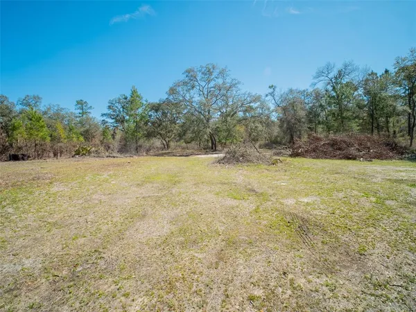 a view of dirt field with trees around