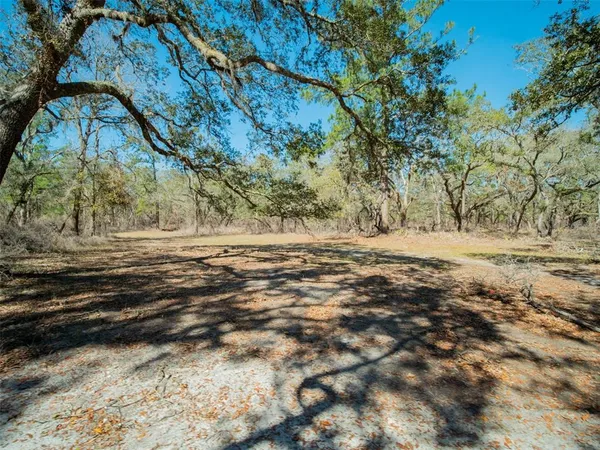 a view of a yard with an trees