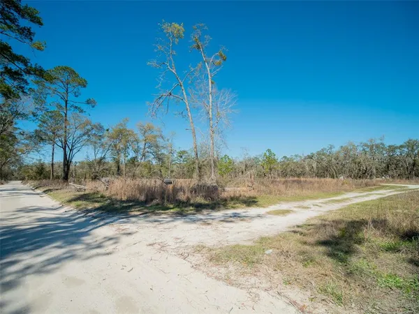 a view of a road with a trees