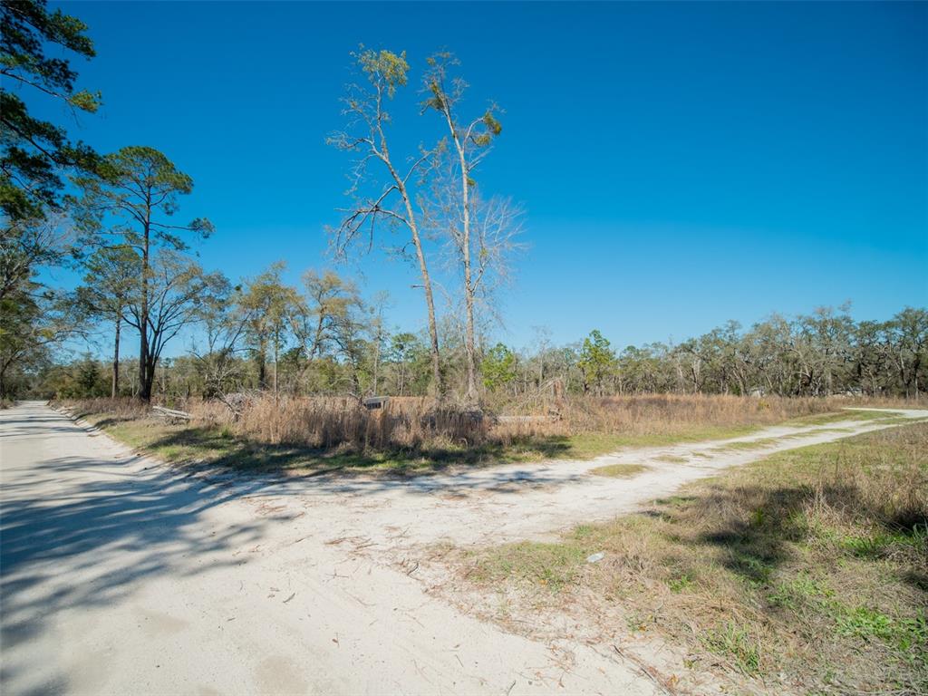 3949 184th Street Wellborn, FL 32094 - Photo 33 of 35 a view of a yard with an trees