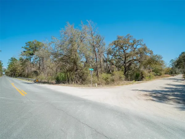 a view of a yard with trees on the road