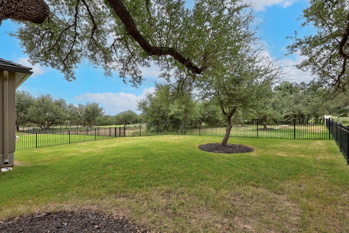815 Flint Ridge Trail Georgetown, TX 78628 - Photo 32 of 39 a view of a big yard with large trees
