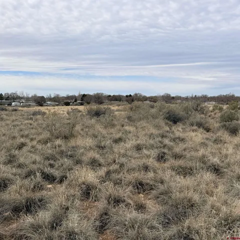$35,000 | Lot 129 Nicholette Way, Cortez, CO 81321