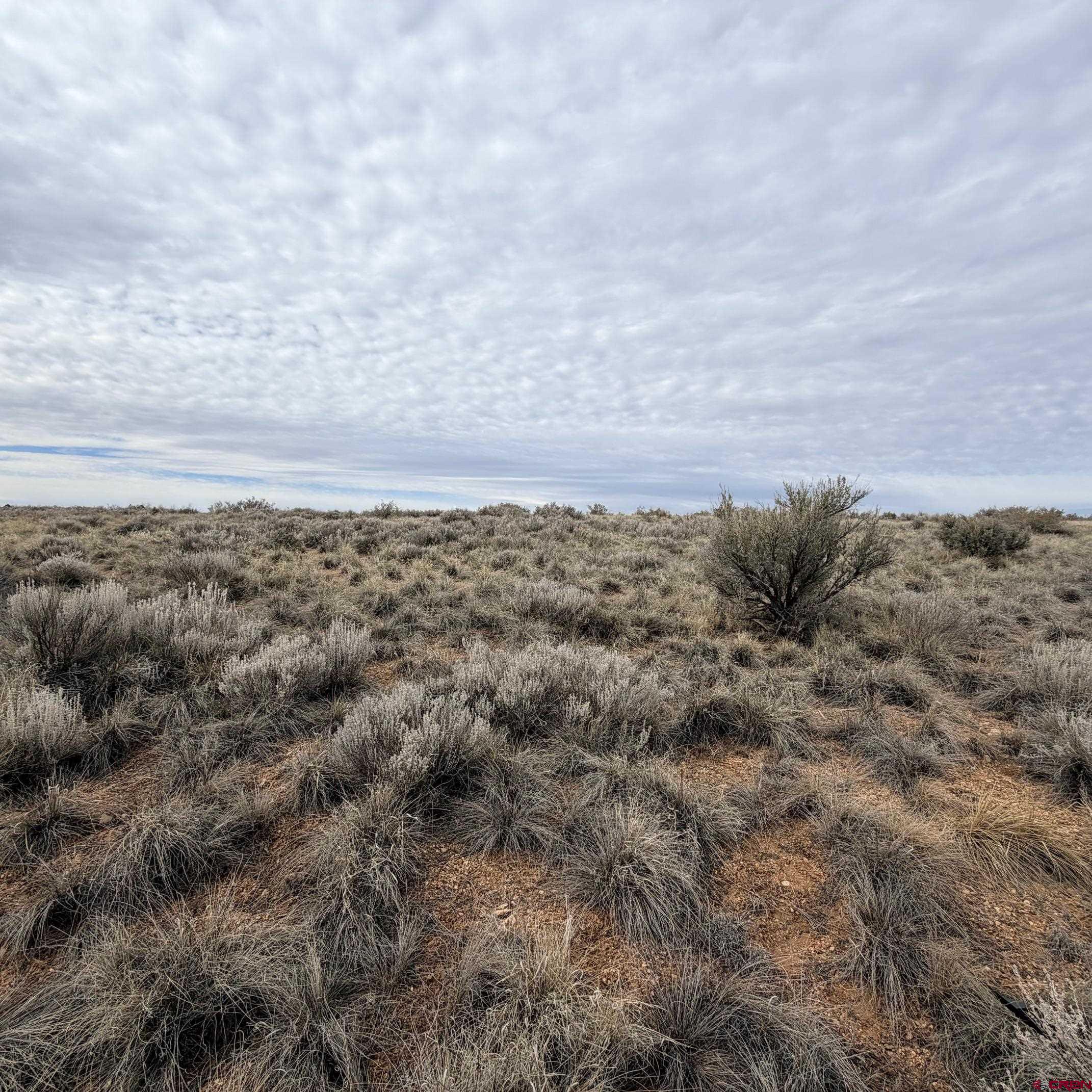 Lot 129 Nicholette Way Cortez, CO 81321 - Photo 15 of 30 a view of a field