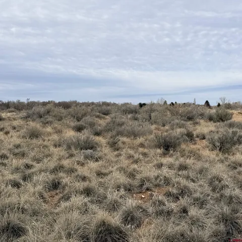 $35,000 | Lot 129 Nicholette Way, Cortez, CO 81321