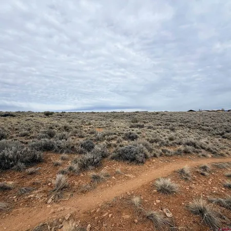 $35,000 | Lot 129 Nicholette Way, Cortez, CO 81321
