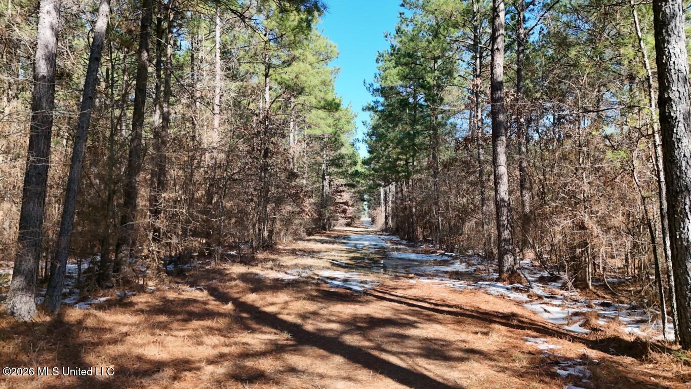 Debutte Road Bastrop, LA 71220 - Photo 16 of 28 DJI_20260202134916_0144_D (Medium)