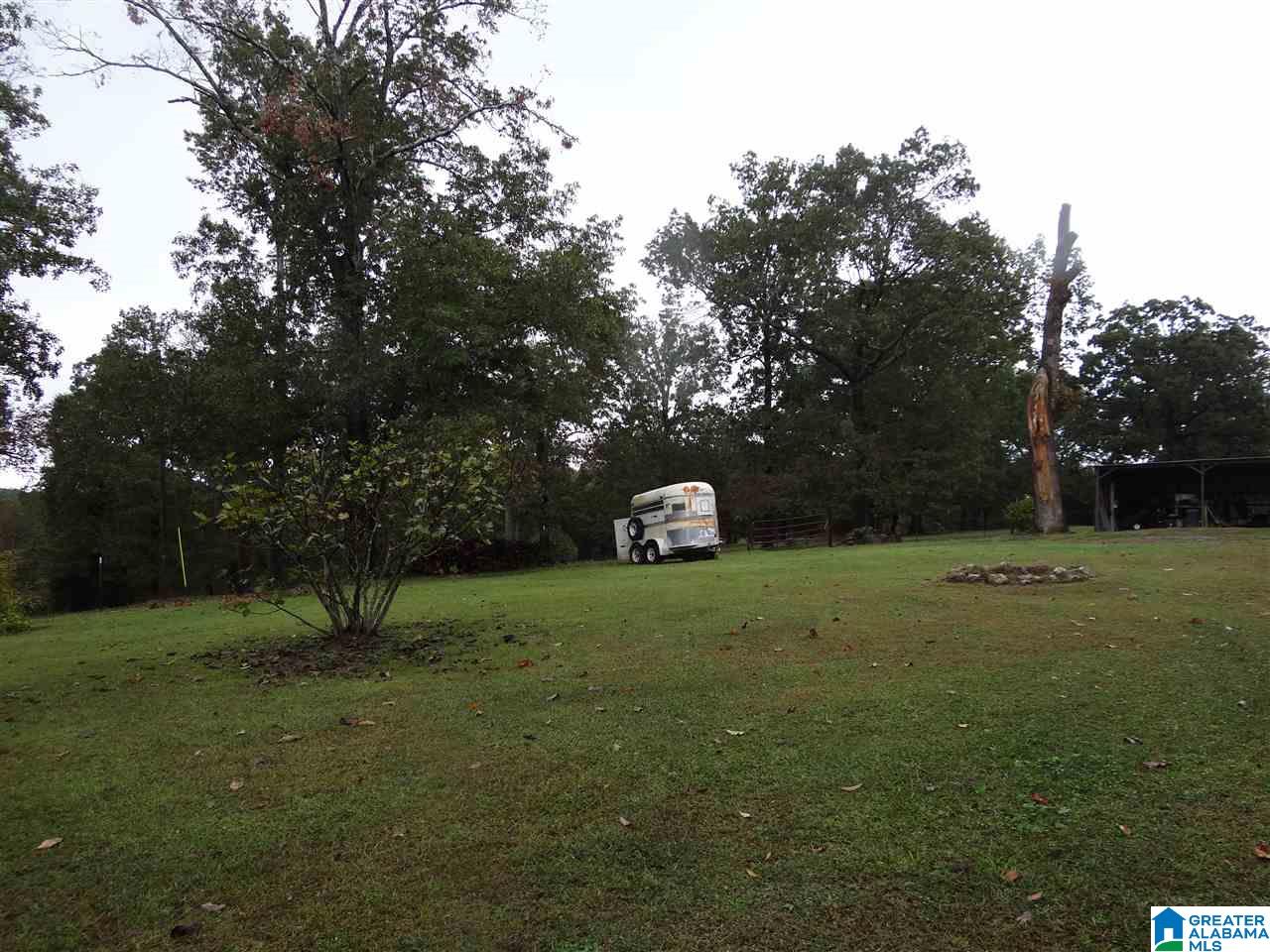3444 Red Valley Road Remlap, AL 35133 - Photo 23 of 39