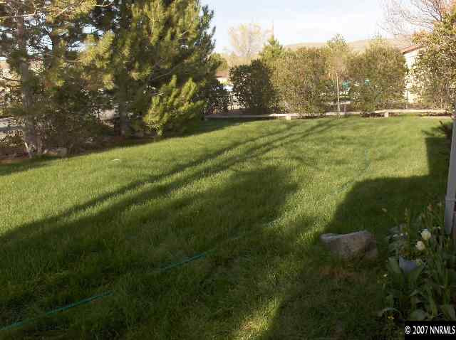 17610 Macaw Lane Reno, NV 89508 - Photo 8 of 9 a view of yard with green space
