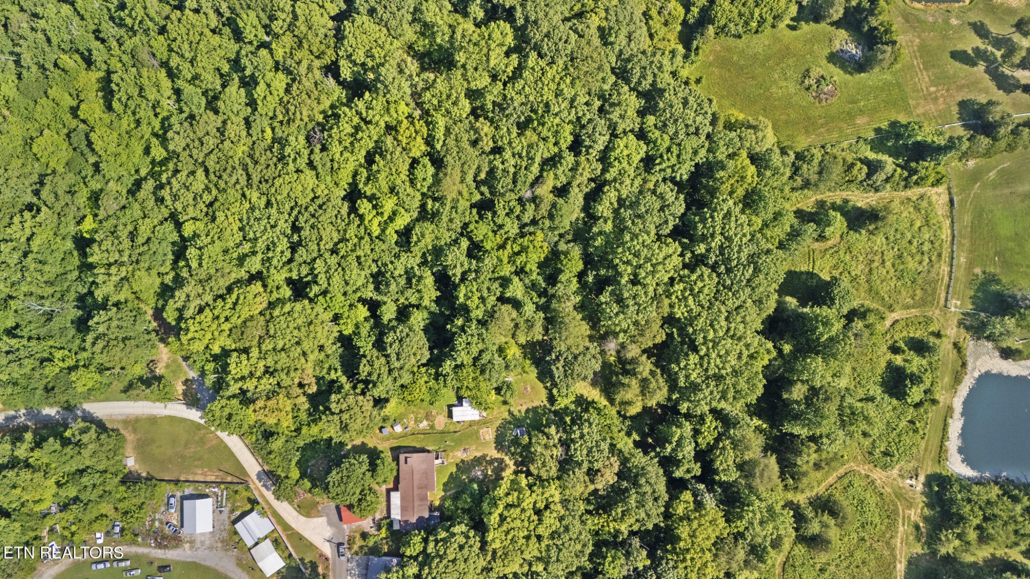 4880 Shell Lane Knoxville, TN 37918 - Photo 33 of 37 a view of a yard with plants