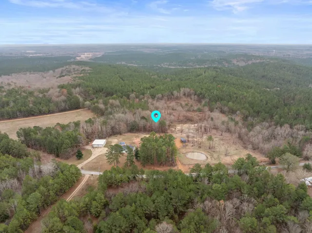 a view of a field with an ocean