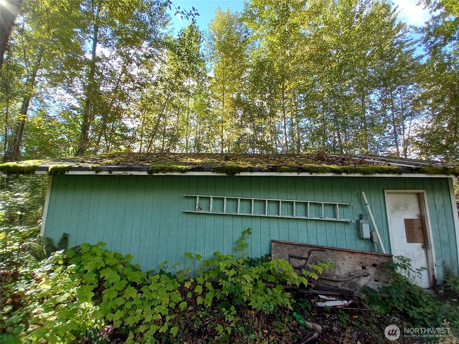 7714 166th Street East Puyallup, WA 98375 - Photo 6 of 10