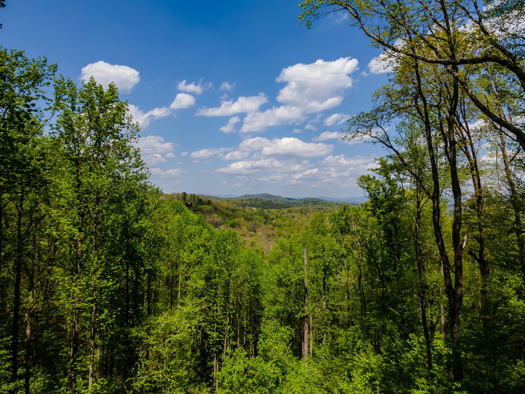 431 Little Bushy Head Road Blue Ridge, GA 30513 - Photo 8 of 46