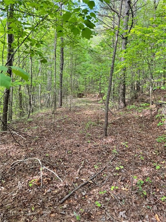 2 Shyers Ford Road Talking Rock, GA 30175 - Photo 8 of 22 Gallery Image 8