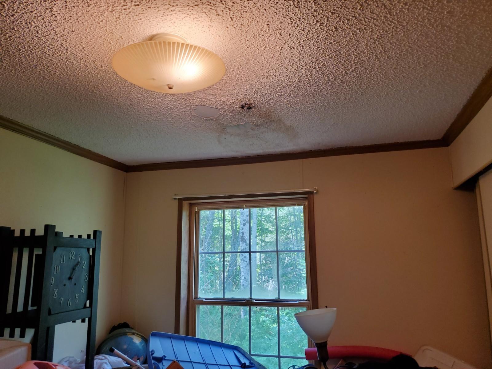 330 Buzzell Hill Road Hope, ME 04847 - Photo 19 of 32 20200706_115329