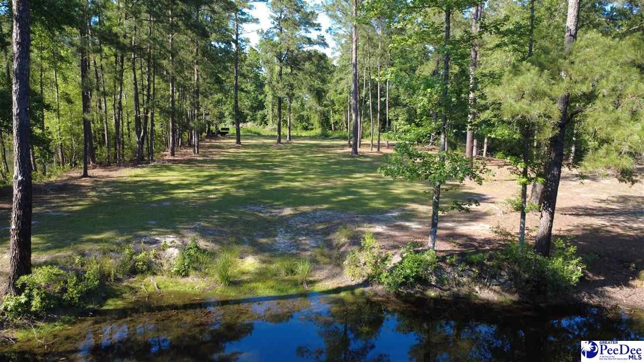 Tbd North Tbd N Bethel Road Scranton, SC 29591 - Photo 16 of 28 Gallery Image 16