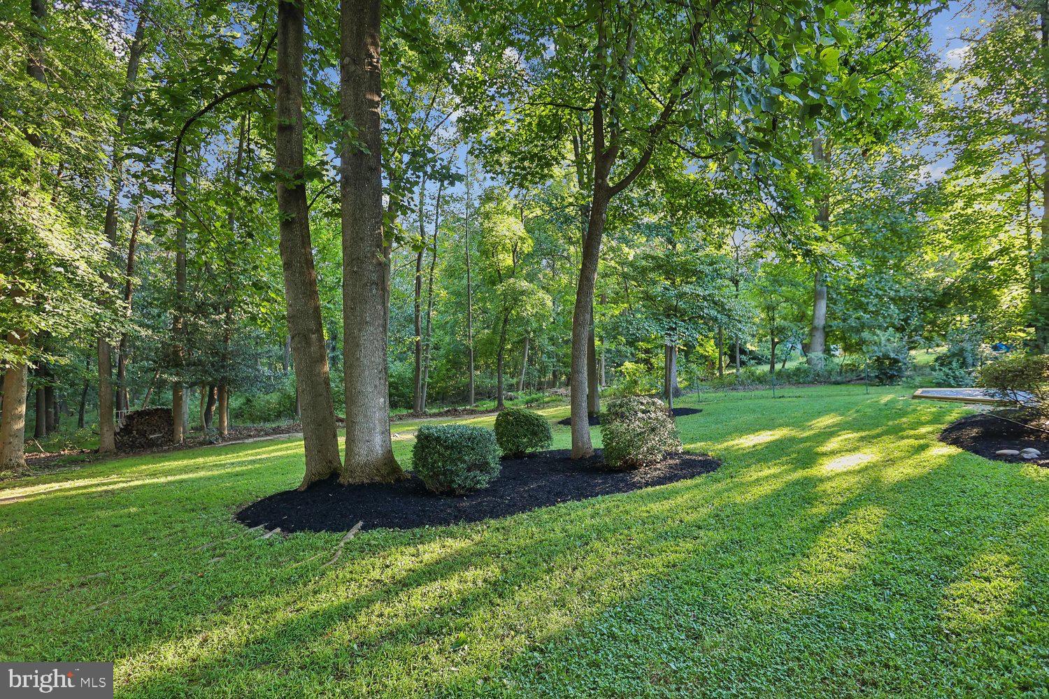 1908 Ridgewood Road Hanover, MD 21076 - Photo 6 of 17 17-Back Yard