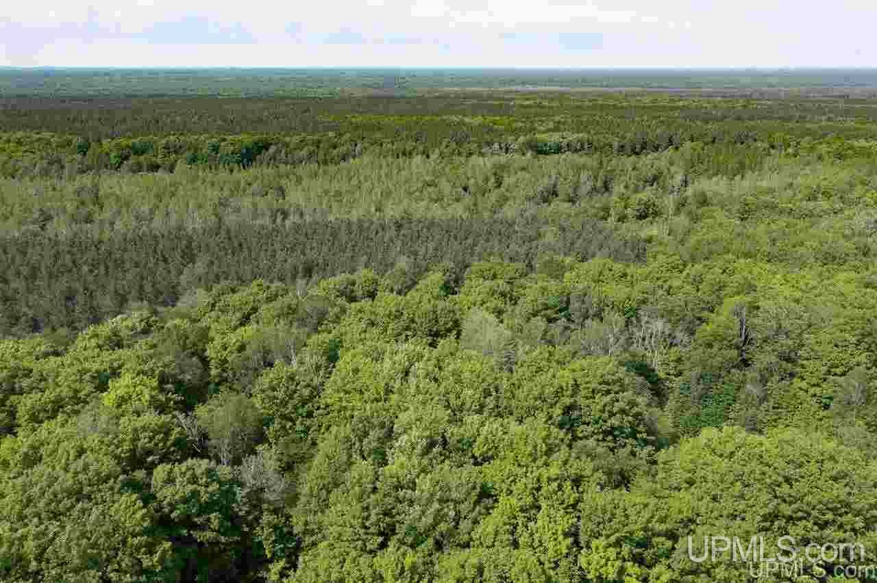 11084 Ridge Road Manistique, MI 49854 - Photo 18 of 22