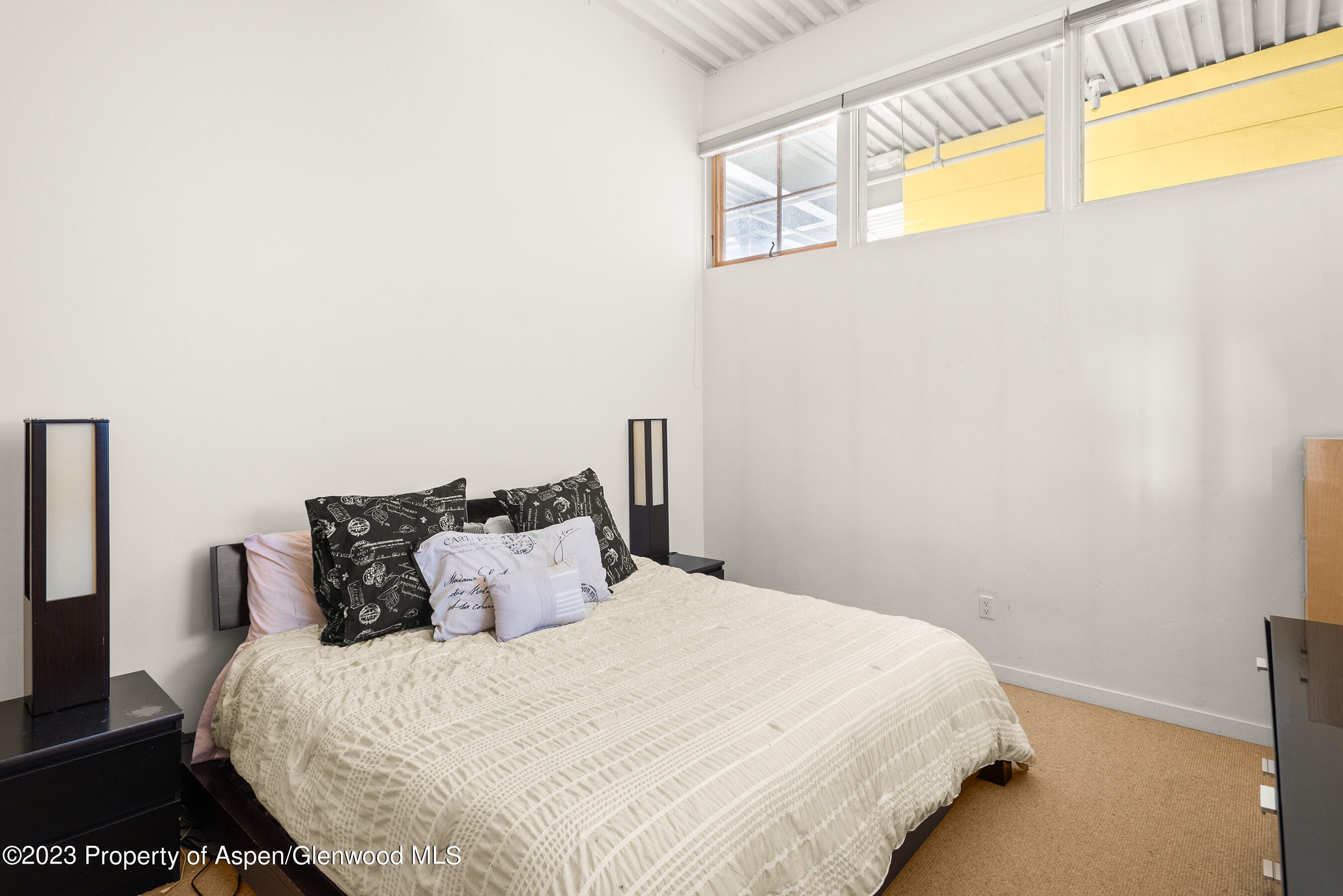 231 Robinson Street, Unit 314 Basalt, CO 81621 - Photo 4 of 8 231Robinson314_DASH_23081106