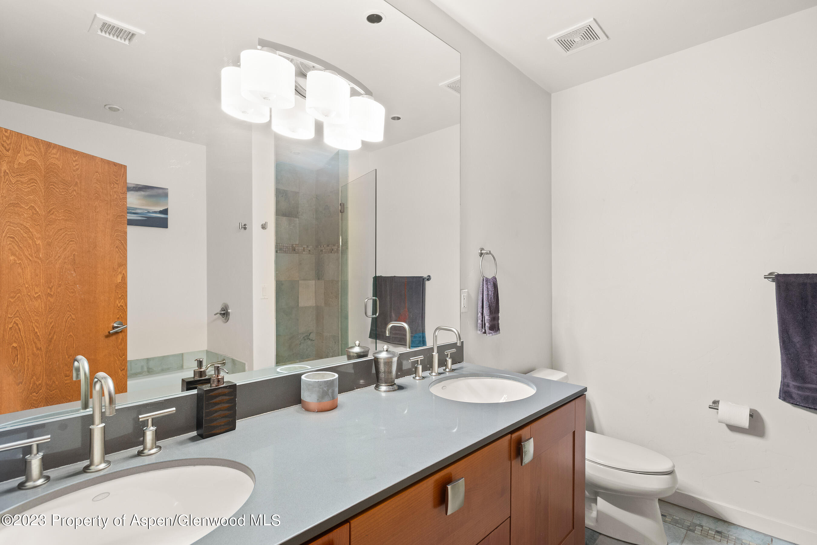 231 Robinson Street, Unit 314 Basalt, CO 81621 - Photo 6 of 8 231Robinson314_DASH_23081108