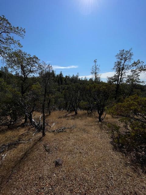 1 Madison Avenue Oak Run, CA 96069 - Photo 12 of 17 IMG_6669