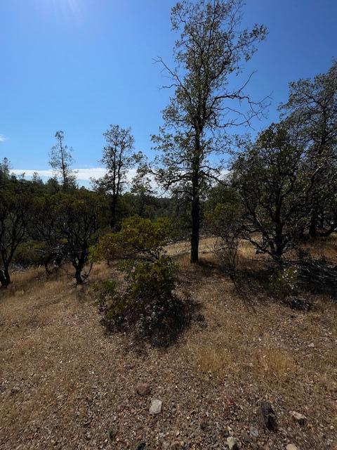1 Madison Avenue Oak Run, CA 96069 - Photo 13 of 17 IMG_6670