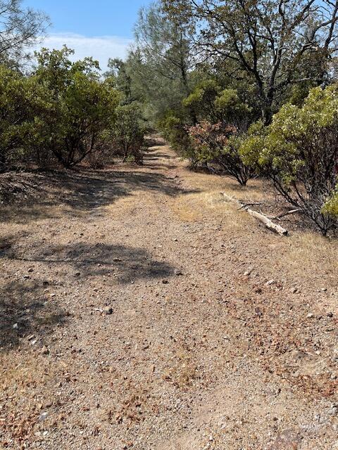1 Madison Avenue Oak Run, CA 96069 - Photo 14 of 17 IMG_6677