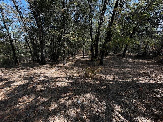 1 Madison Avenue Oak Run, CA 96069 - Photo 15 of 17 IMG_6681