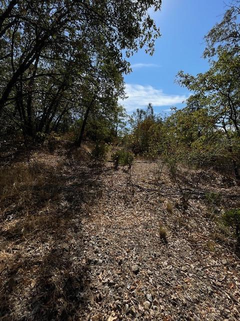 1 Madison Avenue Oak Run, CA 96069 - Photo 16 of 17 IMG_6685