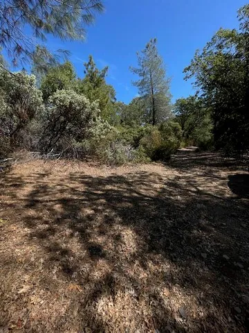 $150,000 | 1 Madison Avenue, Oak Run, CA 96069