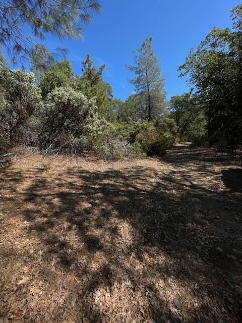 1 Madison Avenue Oak Run, CA 96069 - Photo 17 of 17 IMG_6689