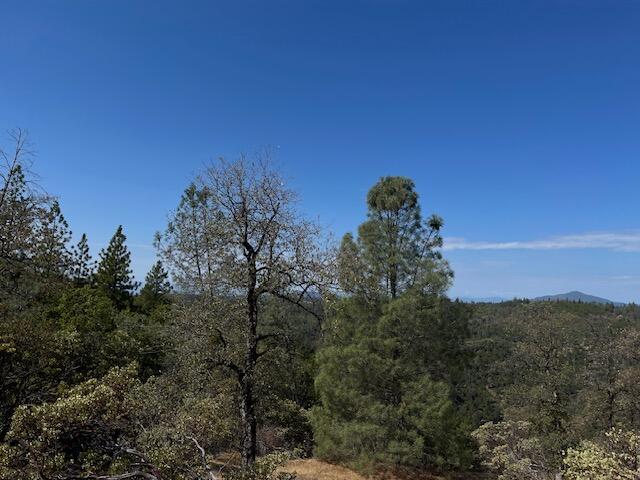 1 Madison Avenue Oak Run, CA 96069 - Photo 6 of 17 IMG_6644