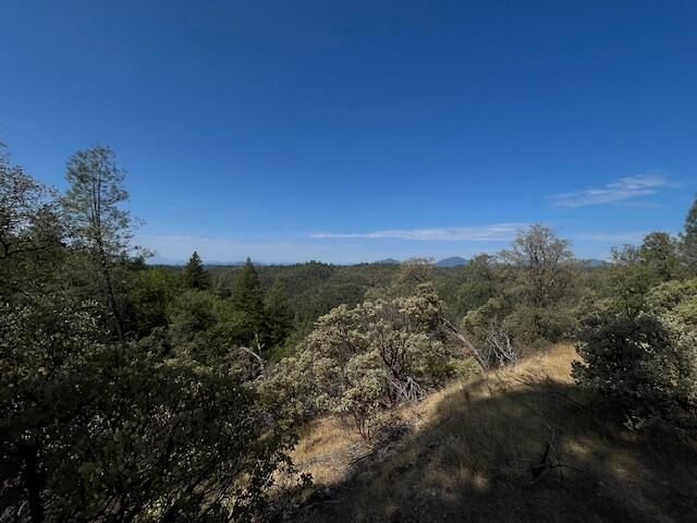 1 Madison Avenue Oak Run, CA 96069 - Photo 7 of 17 IMG_6648