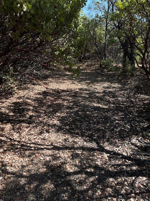 1 Madison Avenue Oak Run, CA 96069 - Photo 8 of 17 IMG_6652