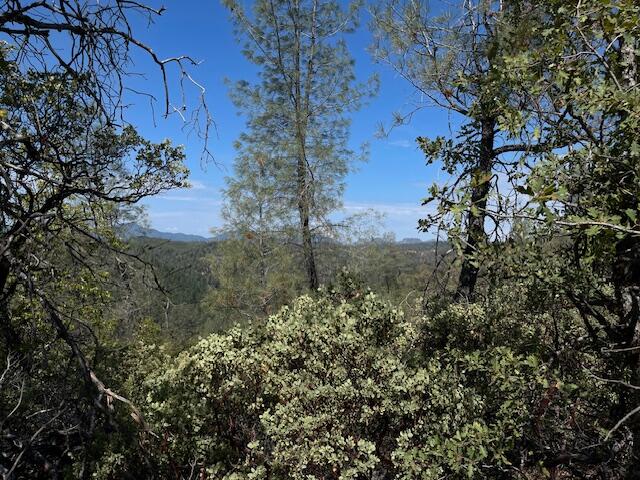 1 Madison Avenue Oak Run, CA 96069 - Photo 9 of 17 IMG_6653