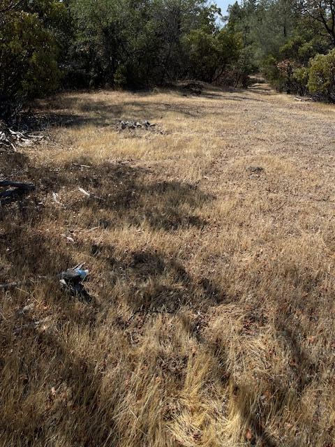 1 Madison Avenue Oak Run, CA 96069 - Photo 10 of 17 IMG_6663