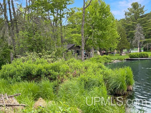 217 East Lake Emily Road Crystal Falls, MI 49920 - Photo 63 of 65