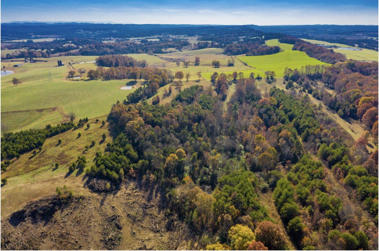 560 Gettys Road Philadelphia, TN 37846 - Photo 4 of 5 1C1237B1-3A2A-479E-BC16-BDC508E69BDA