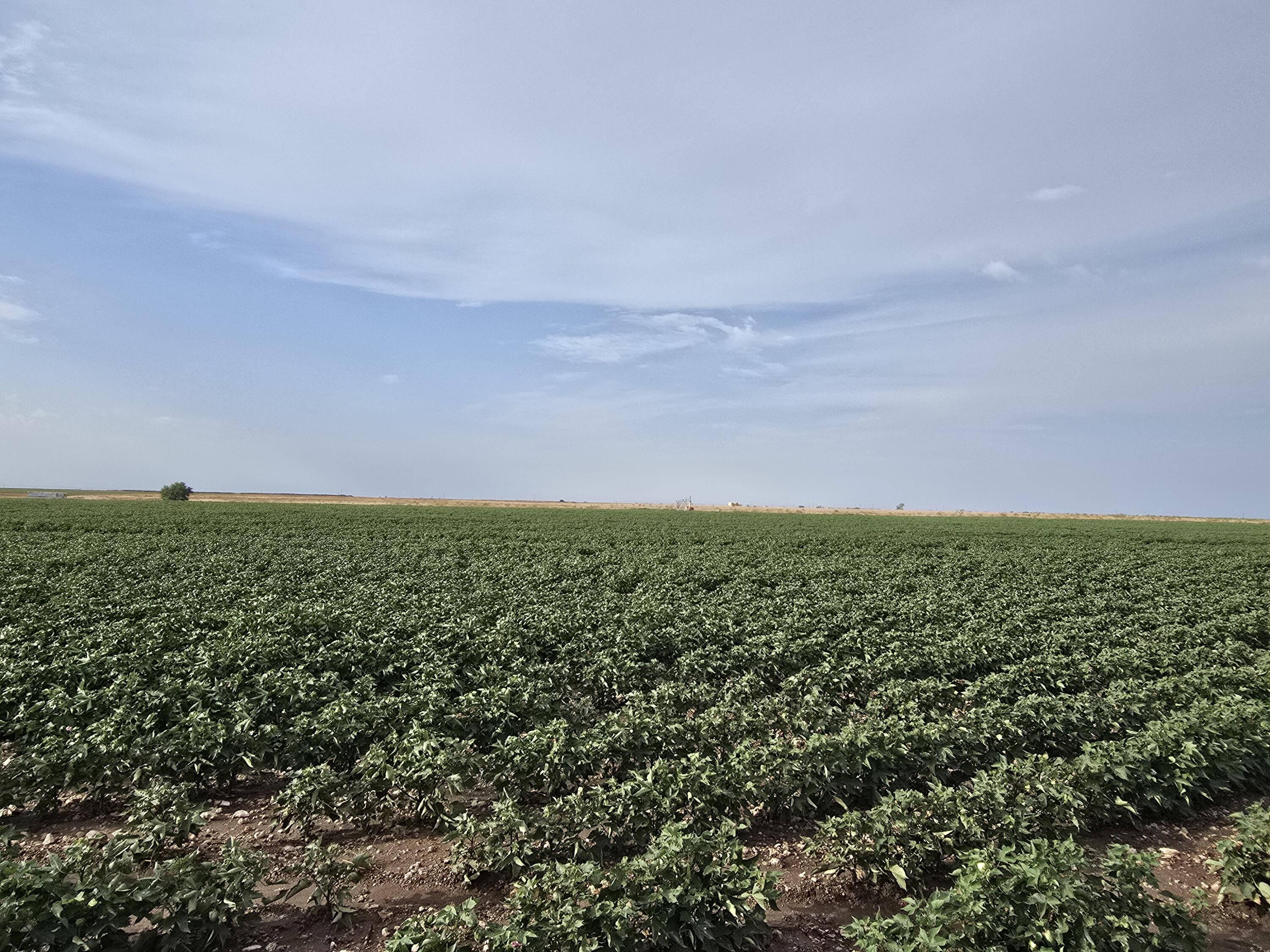 218 County Road Seminole, TX 79360 - Photo 1 of 8 20260916_092749