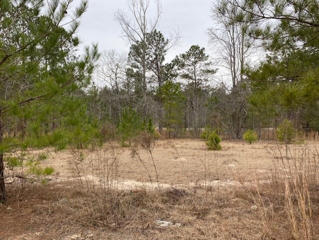 5650 Goldsboro Road Grovetown, GA 30813 - Photo 1 of 1 Main View