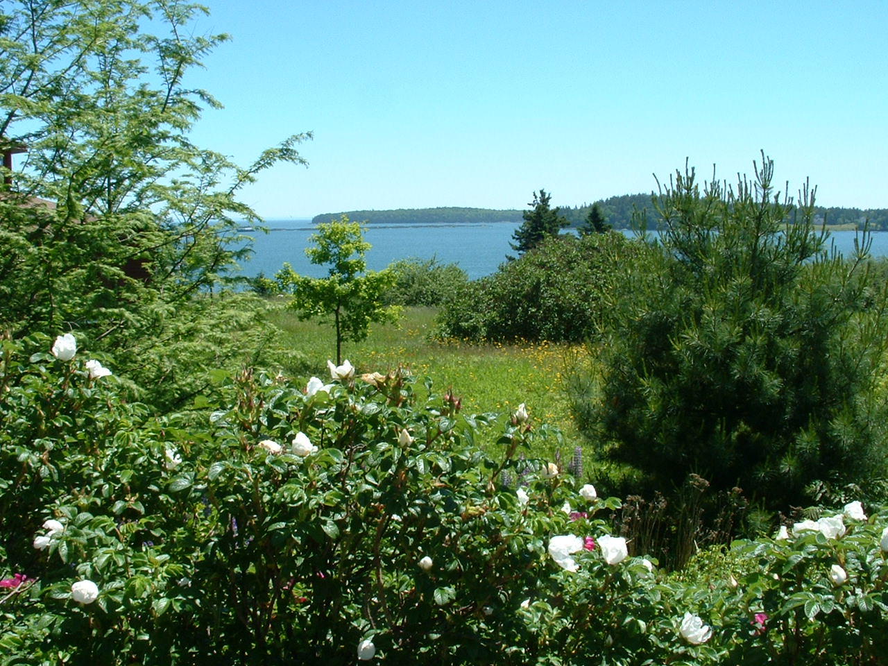 1755 Port Road Machiasport, ME 04655 - Photo 17 of 35 Ocean View from Main House