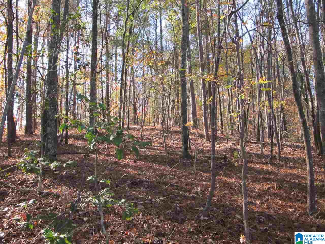 0 Knock About Lane Wedowee, AL 36278 - Photo 3 of 3