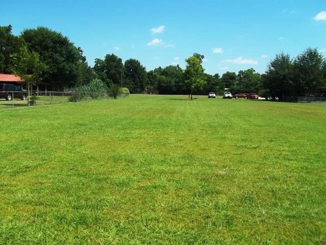 713 East Ridgeley Street Atmore, AL 36502 - Photo 3 of 10
