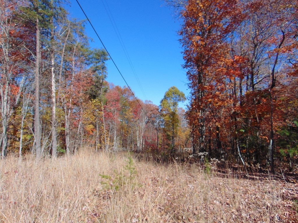 0 Raccoon Ridge Road Spring City, TN 37381 - Photo 25 of 70