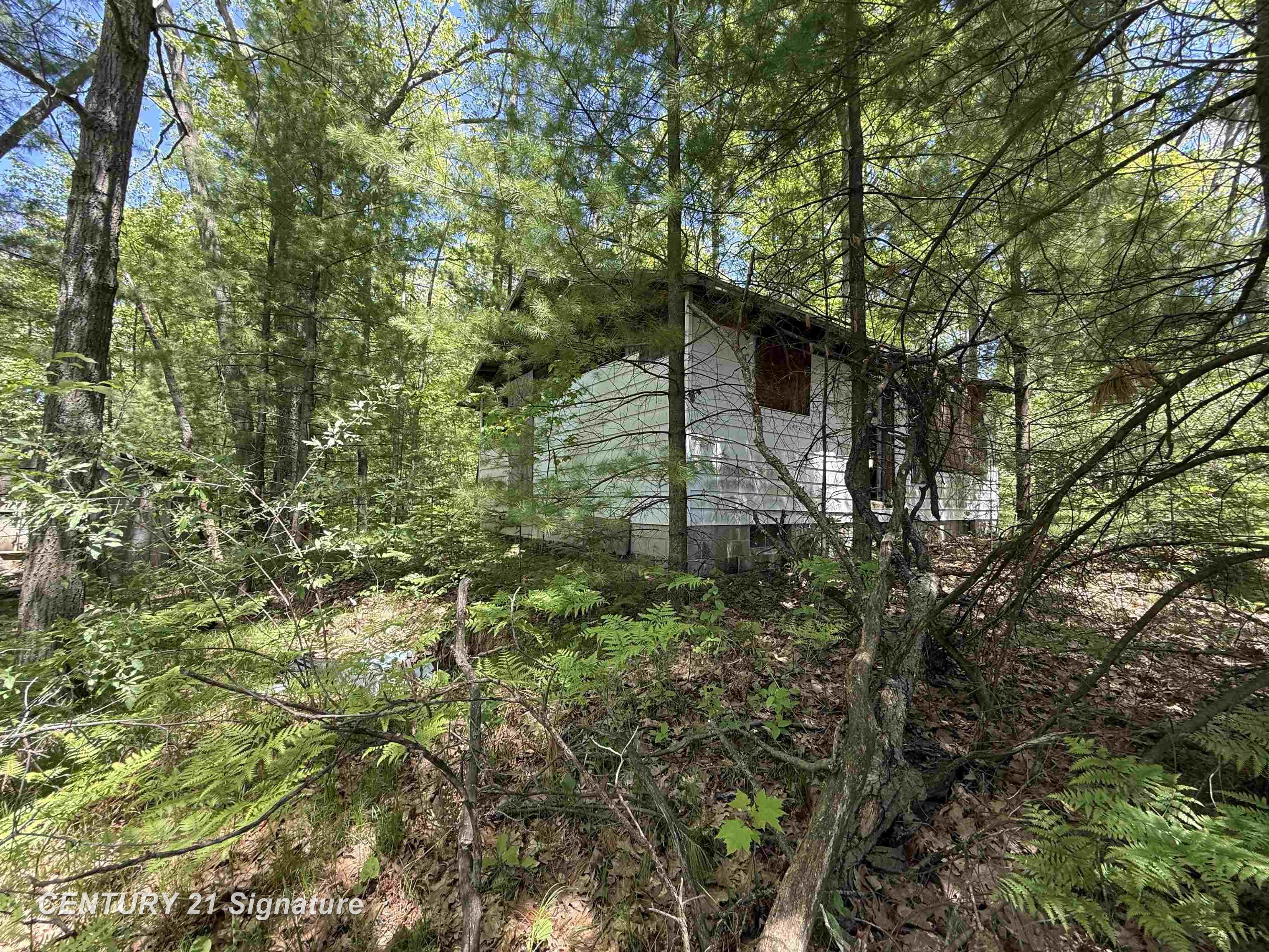 981 East Cranberry Lake Road Harrison, MI 48625 - Photo 6 of 10