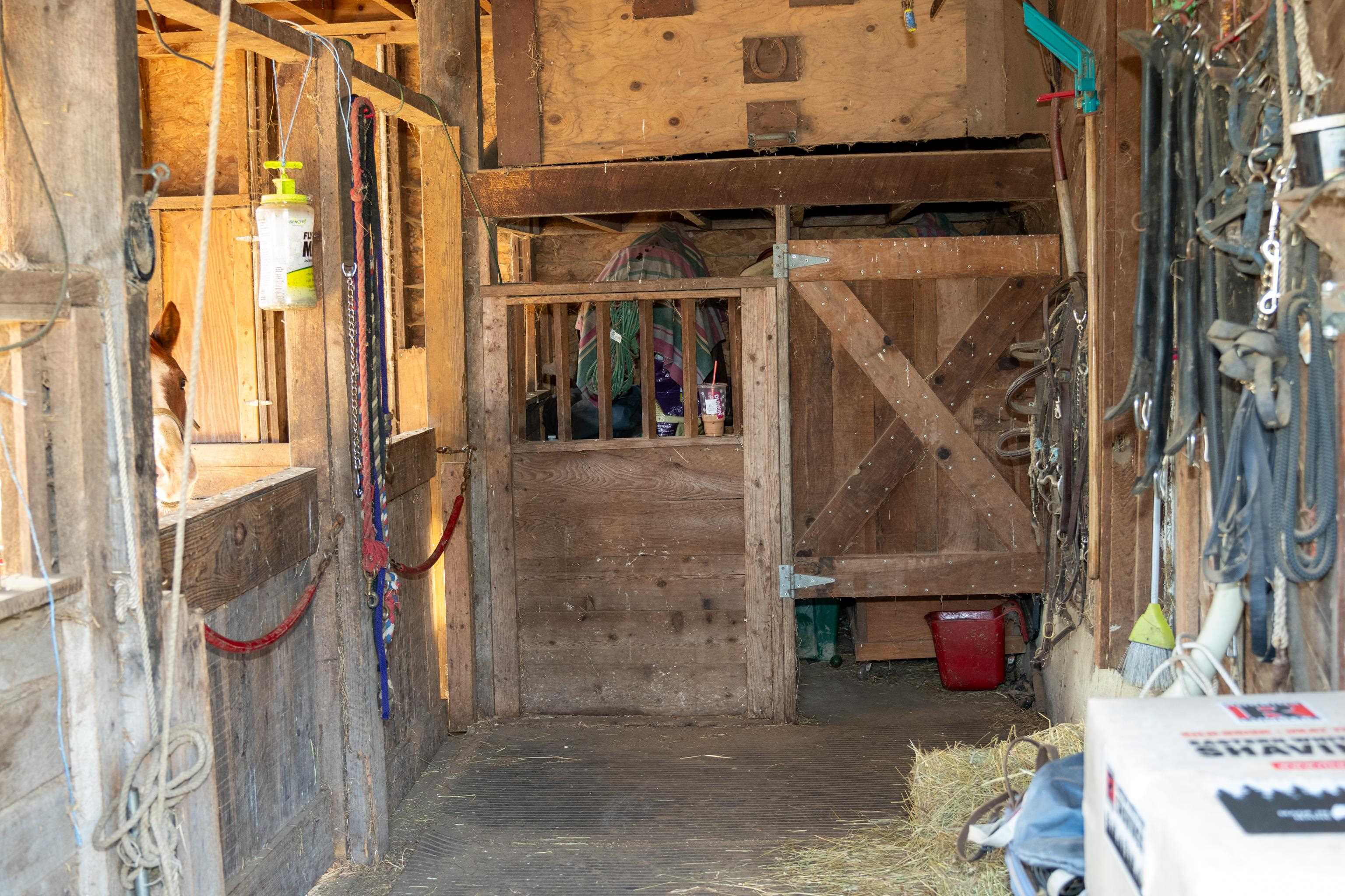 243 Hampstead Road Derry, NH 03038 - Photo 14 of 40