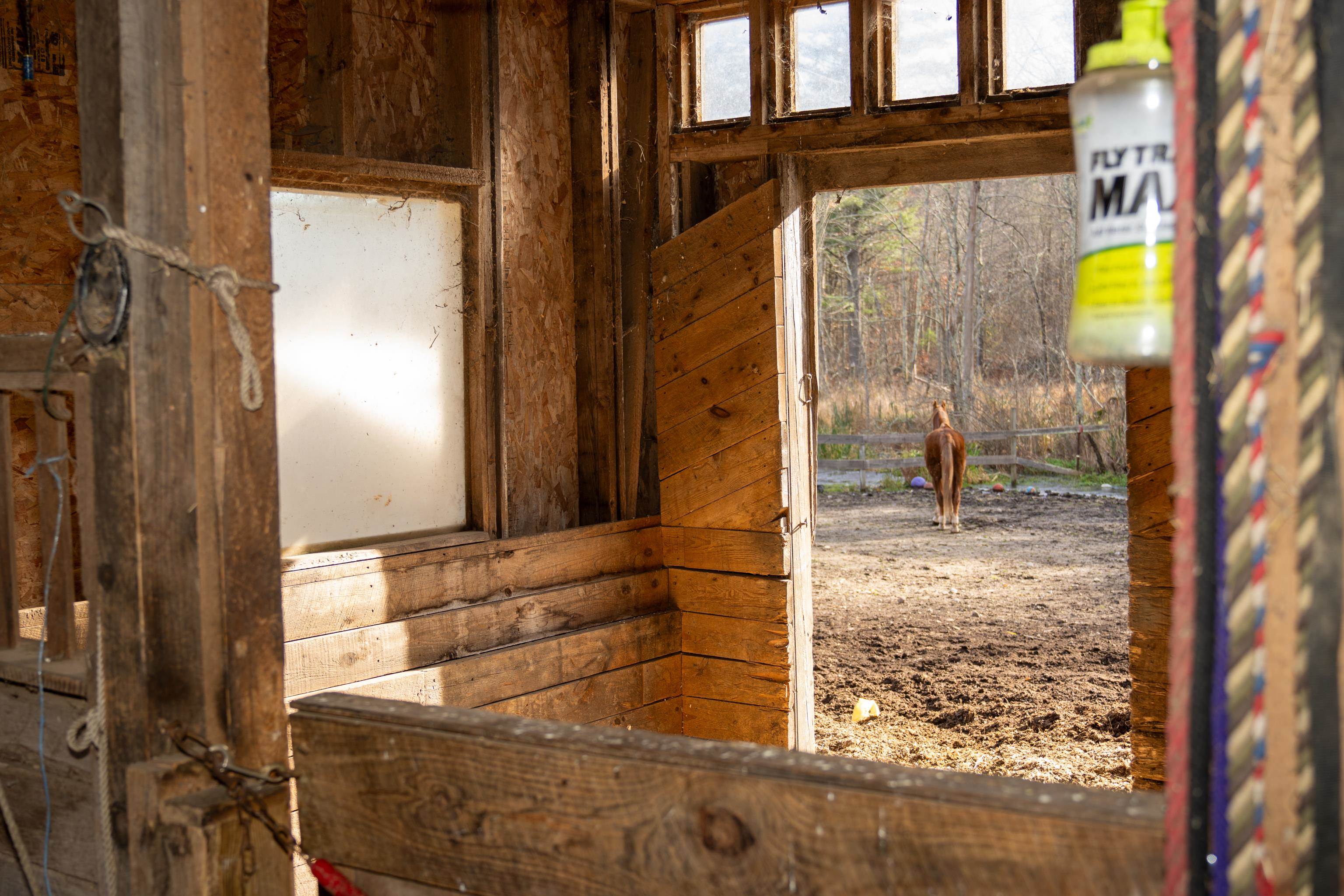 243 Hampstead Road Derry, NH 03038 - Photo 16 of 40