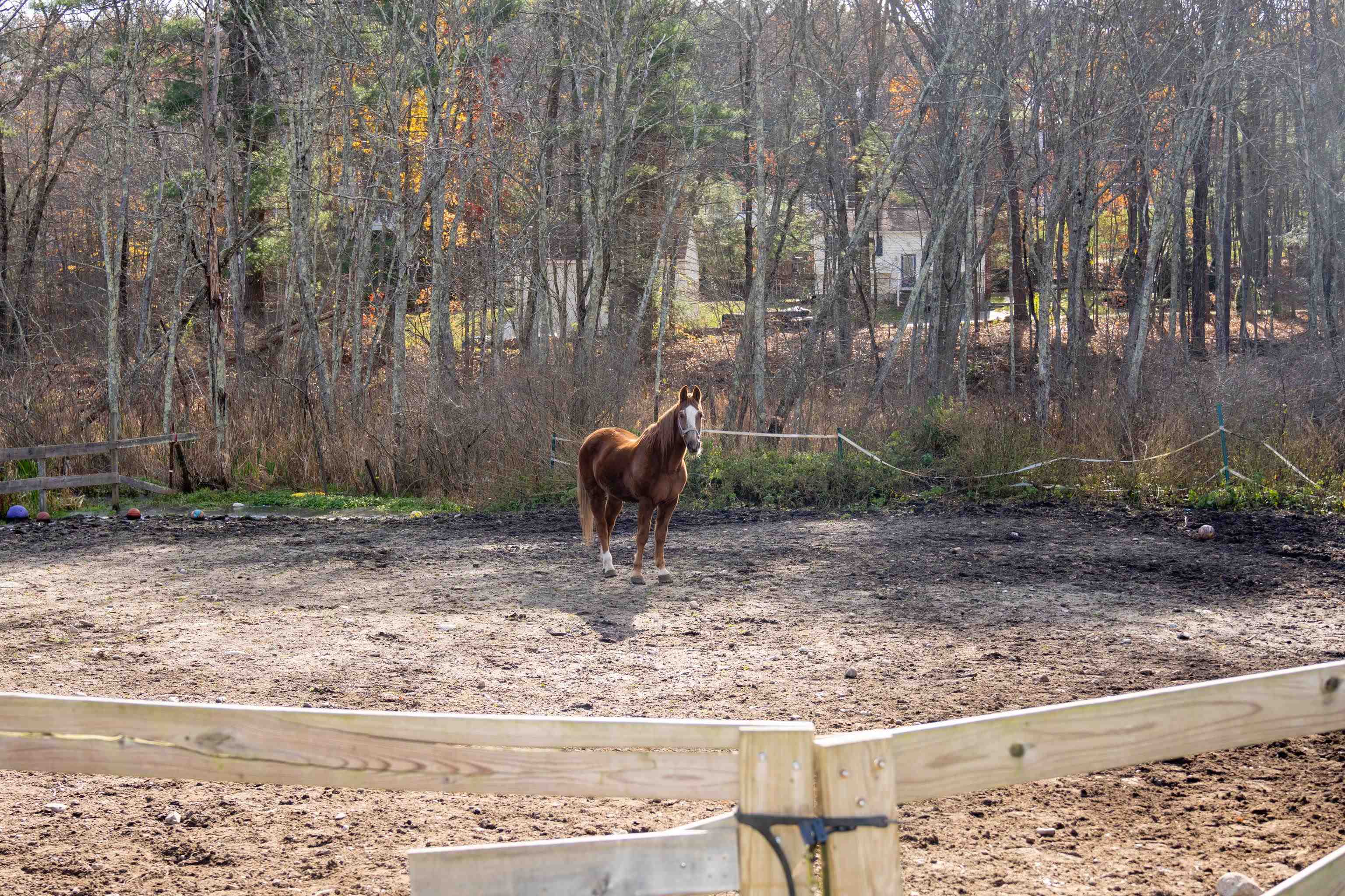 243 Hampstead Road Derry, NH 03038 - Photo 17 of 40
