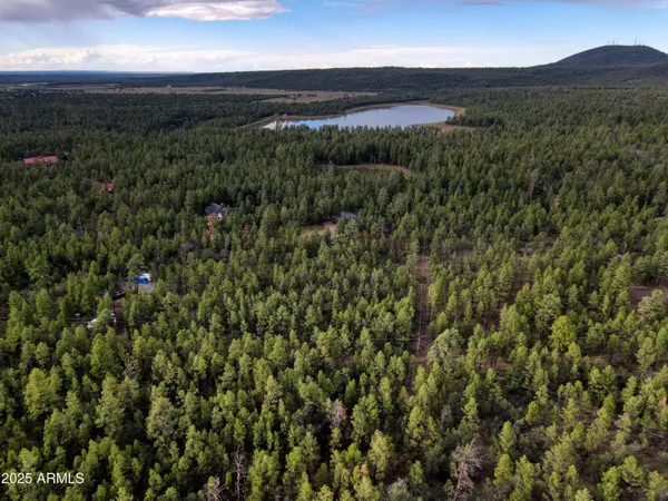 a view of a city with lush green forest